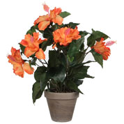 Planta Artificial - Hibiscus Naranja - MICA